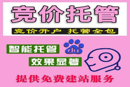 百度广告推广实战案例解析